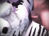Furry zoo zebra got banged in the pussy by a man's cock